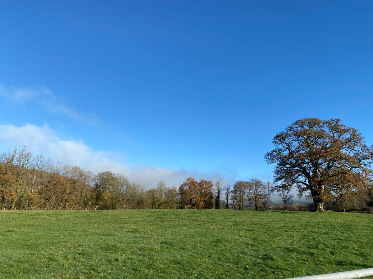 Oakies Farm Stays Llandovery Exterior photo