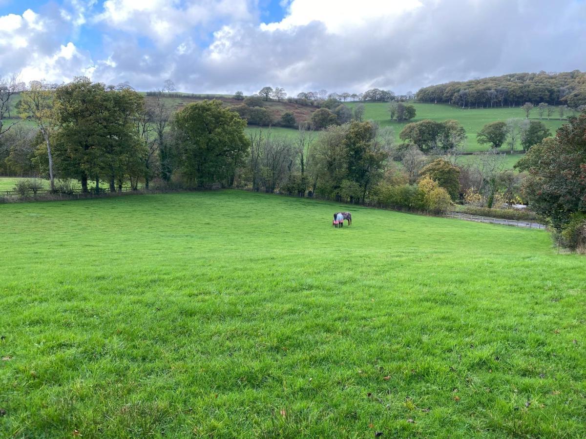 Oakies Farm Stays Llandovery Exterior photo