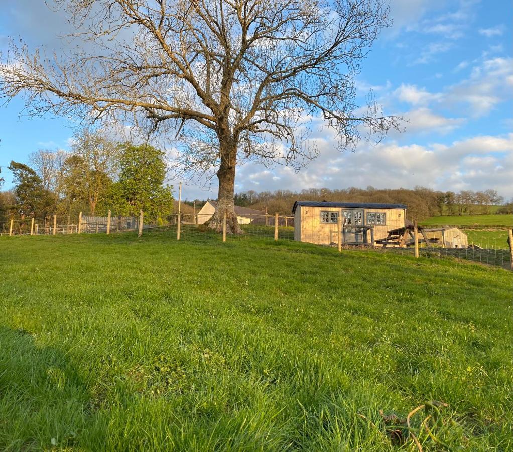 Oakies Farm Stays Llandovery Exterior photo